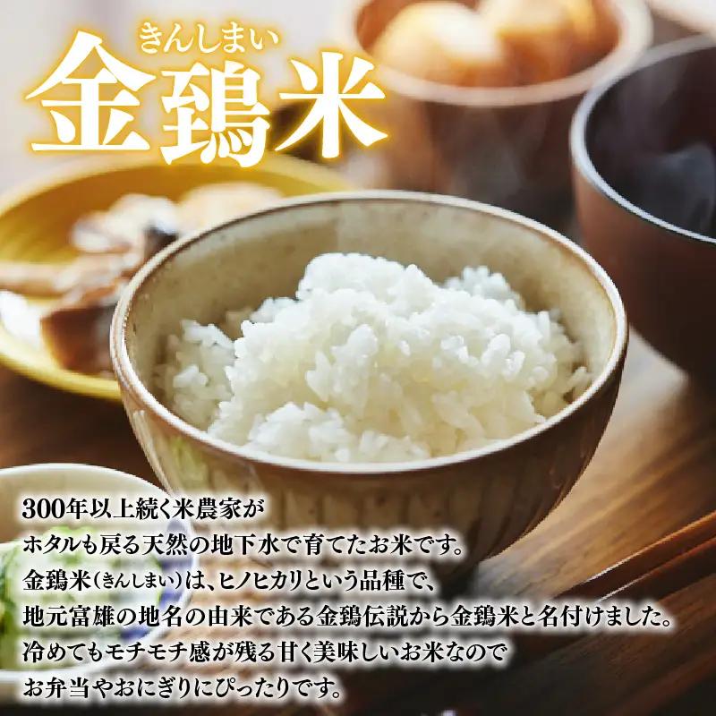 定期便 パックごはん 白米 10個×4回