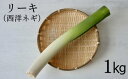 【ふるさと納税】 八幡平市産 西洋ねぎ リーキ 1 kg ／ 1キロ ねぎ 葱 ネギ ポロネギ ポワロ ポロ ポアロ リーク イタリア料理 フランス料理 肉料理 魚料理 ポトフ ポタージュ スープ 香味野菜 希少 国産 国内産 産地直送 農家直送 みのり風土 岩手県 八幡平市 送料無料