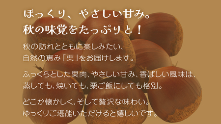 秋の味覚「 栗 」3kg【2025年9月上旬発送開始】(茨城県共通返礼品：大子町)