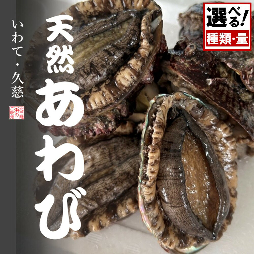 【ふるさと納税】＼年内お届け！量・処理済も選べる／ ★産地直送★ 「北三陸産天然あわび」鮑 アワビ 魚介 選べる 300g 500g 海鮮 冷蔵 刺身 お祝い 産地直送 三陸 岩手