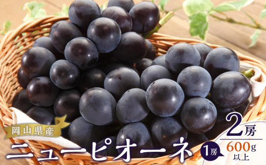 ぶどう 2026年  ニュー ピオーネ 2房（1房600g以上） ブドウ 葡萄  岡山県産 国産 フルーツ 果物 ギフト
