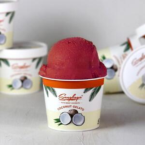 ［無添加、卵・乳不使用］あおもりカシスココナッツジェラート6個セット