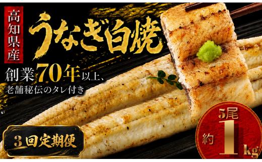 【3回 定期便】 高知県産 うなぎ 白焼 5尾 | 国産 日本産 うな重 うな丼 鰻 ウナギ 有頭 白焼き しらやき 土用丑の日 土用の丑の日 丑の日 魚 魚介 魚貝 海鮮 高級 贅沢 特別 老舗 初音 釜めし初音 鰻蒲焼 タレ付き タレ 贈答 お取り寄せ 冷凍 うな重 ギフト 贈り物 お祝い プレゼント ご褒美 人気 おすすめ 湯煎 簡単 調理 おかず お手軽 ご当地 グルメ 高知県 南国市