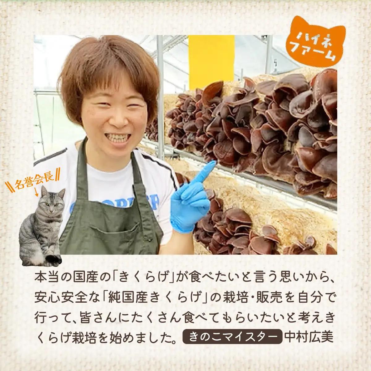 灰猫のきくらげカレー　１セット／１８０g５袋／レトルトカレー サンシャイン池崎 ねこ ネコ 保護猫