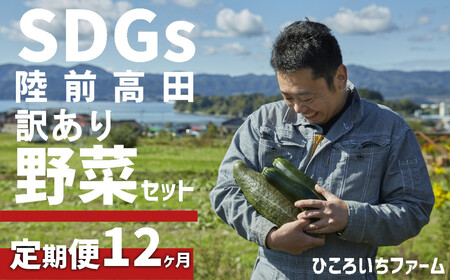 【定期便12ヶ月】訳あり野菜セット 約3～4種類 農家のおすそわけ 旬 野菜セット