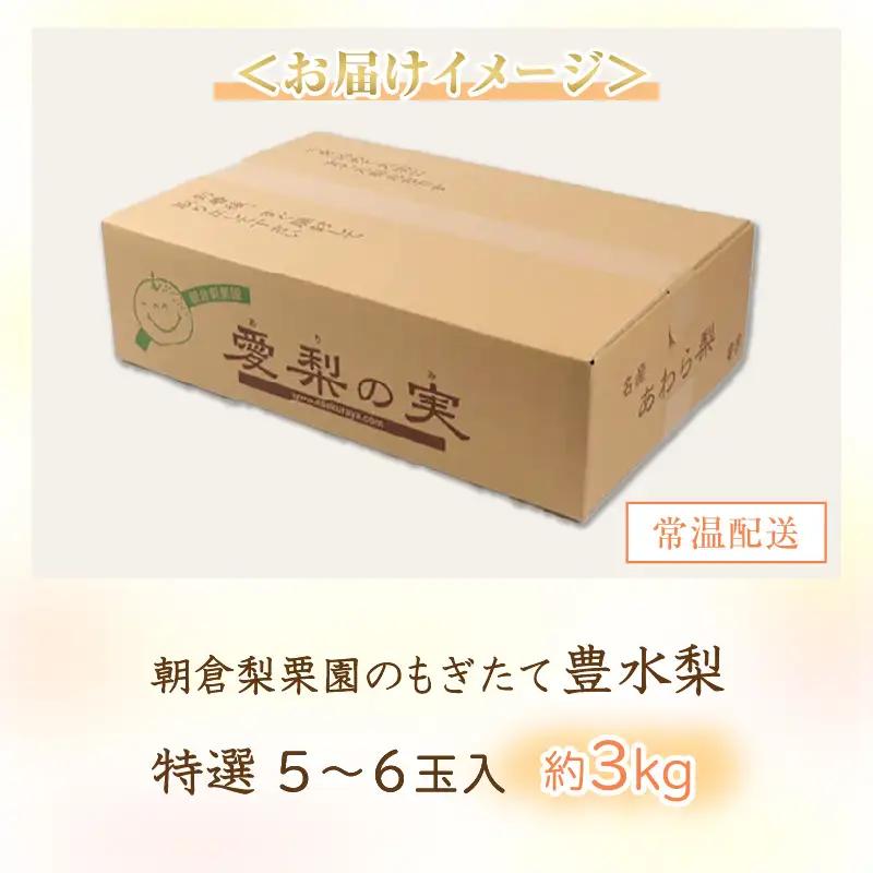 【先行予約】《数量限定》豊水梨 特選 5～6玉入 約3kg もぎたて 新鮮 ／ 期間限定 果物 フルーツ 農家直送 お取り寄せ 豊水 梨 なし 福井県 あわら市 ※2026年9月上旬より順次発送予定 