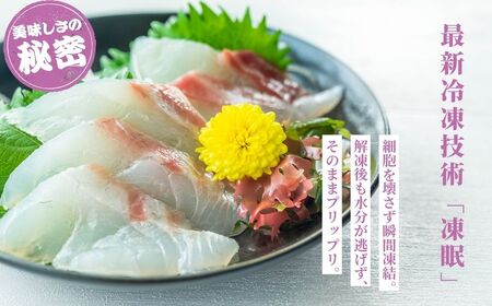 【2025年12月21日までのご入金で年内配送】瀬戸内「天然」真鯛 お刺身用 400g 柵でお届け（急速冷凍）便利な小分け 100gパック 【鯛 マダイ タイ 鯛めし 鯛茶漬け ブロック 海鮮 魚介 