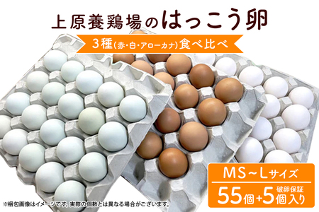 はっこう卵 3種 食べ比べ MS~L サイズ 55個 +破卵保障5個 卵 種類 サイズ おまかせ 詰め合わせ 白卵 30個 赤卵 20個 青卵 10個 アローカナ 詰合せ たまご タマゴ 食比べ 生卵 味卵 煮卵 目玉焼き ゆで卵 沖縄 産地直送 上原養鶏場 沖縄県 糸満市 115-4