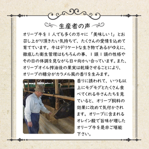オリーブ牛串15本セット