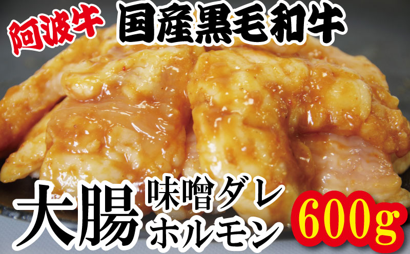 ホルモン 大腸 阿波牛 味噌漬け 200g×3パック 小分け 計600g  国産 牛 黒毛和牛 鍋 焼肉 脂 焼き ホソ もつ 肉 牛肉 BBQ 【北海道・東北・沖縄・離島への配送不可】