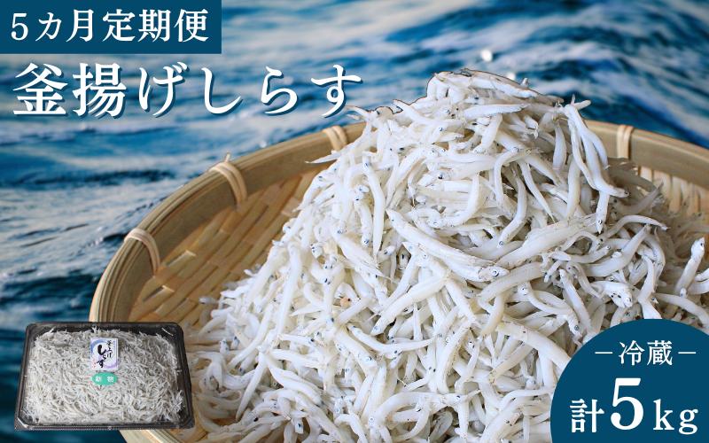 
【5カ月定期便】釜揚げしらす（ご家庭用）計5kg（1kg×5回）※北海道・沖縄・離島配送不可 / しらす丼 丼ぶり シラス 家庭用 冷蔵 お取り寄せ 和歌山県 田辺市
