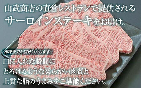 飛騨高山の誇り 飛騨牛 サーロインステーキ用 200ｇ×5枚｜飛騨牛 霜降り肉 PS005 　