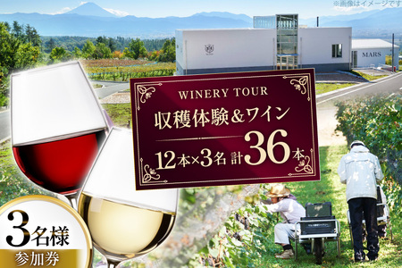 ワイン 収穫体験＆ワインセット 12本×3名 計36本 3名様 参加券 ワイナリー [本坊酒造マルス穂坂ワイナリー 山梨県 韮崎市 20745173]