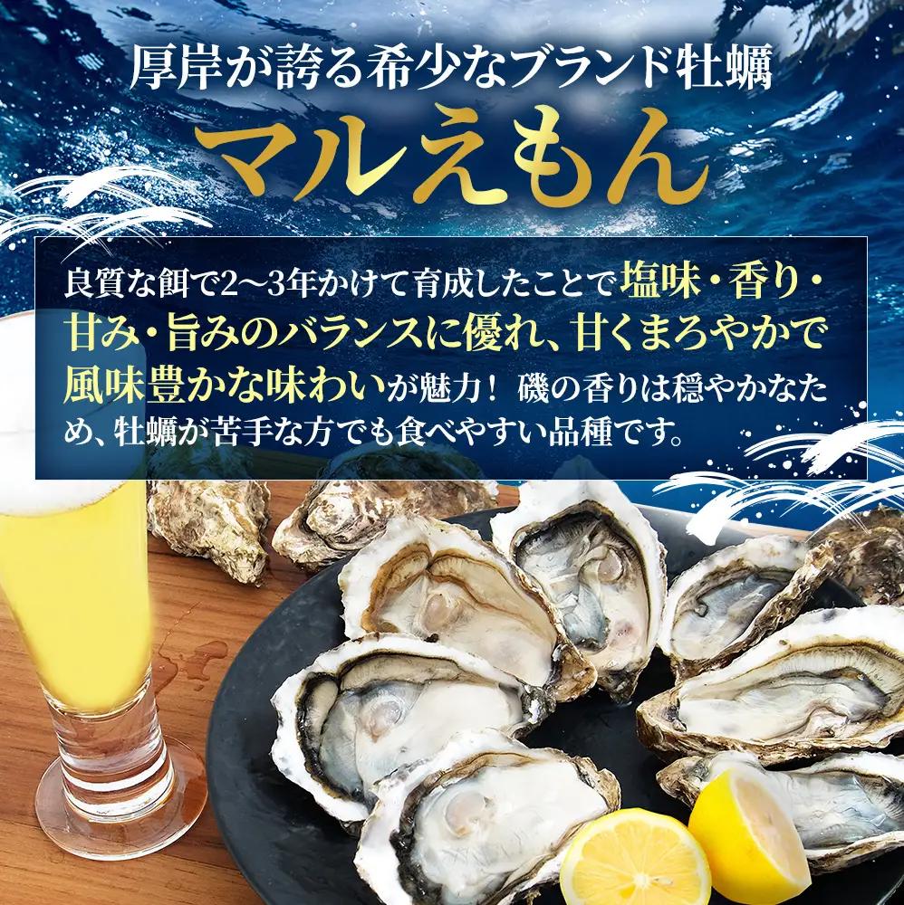 【 3ヵ月 定期便 】 北海道厚岸産 生食用 殻付カキ LLサイズ  12個　マルえもん 魚貝類 海の幸 海のミルク 海鮮 国産 北海道産 オイスター つまみ お酒 あて 肴 生牡蠣 メルマガ掲載商品