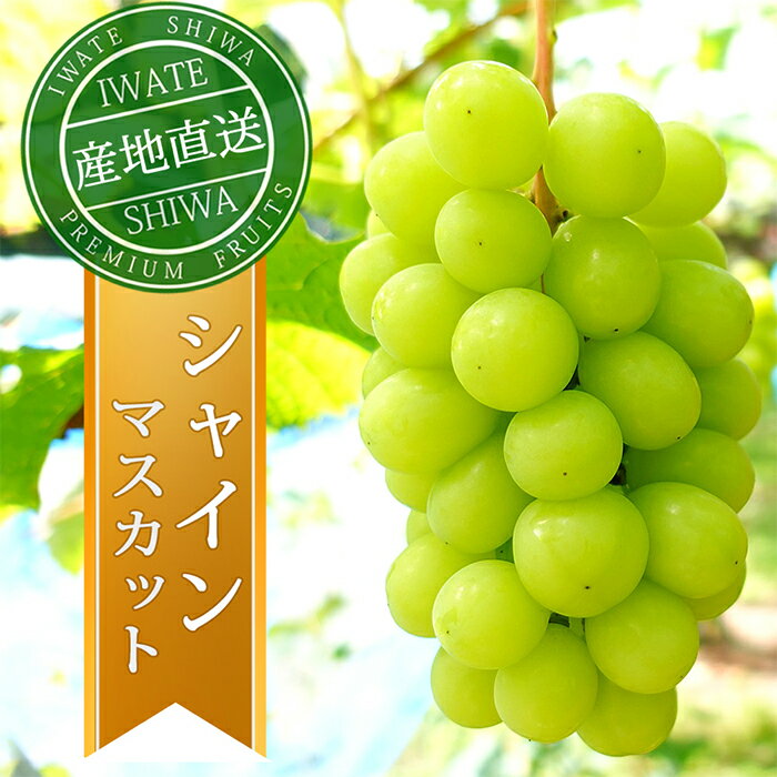【ふるさと納税】＼期間限定 寄附額／ シャインマスカット ぶどう 約1kg【先行予約 数量限定】9月下旬発送開始 岩手県 紫波町 贈答品 ギフト フルーツ 葡萄 大粒 ブドウ 2房 高品質 完熟 甘い 新鮮 産地直送 (AR032-ss)