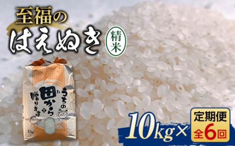 『定期便』令和5年産米 至福のはえぬき（精米）10kg 全6回 米 お米 おこめ 山形県 新庄市 F3S-1609