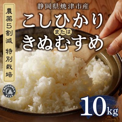 ふるさと納税 焼津市 令和6年産　特別栽培 コシヒカリ または きぬむすめ 白米10kg(5kg×2袋)(a44-007) |  | 01