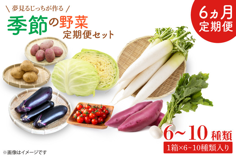 
【6ヶ月定期便】夢見るじっちが作る季節の野菜セット　6～10種類入り1箱(CN-7)
