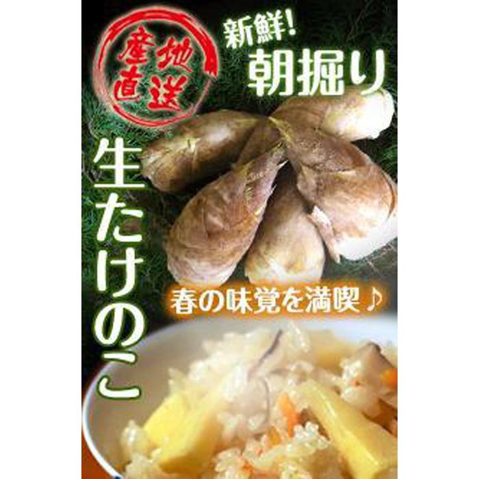 【ふるさと納税】たけのこ 和歌山県産 朝堀り筍 約2kg ぬか付き