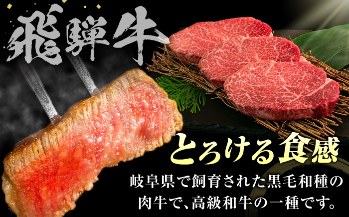 岐阜県産 国産 ステーキ ヒレステーキ ヒレ肉 冷蔵 冷蔵配送 チルド配送 steak fillet steak ヒレステーキ