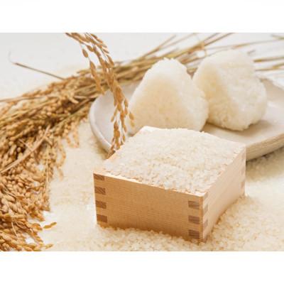 ふるさと納税 関川村 炊きたてつやつや R7年産 新潟関川村産 岩船米こしひかり 5kg [星山米店] |  | 01