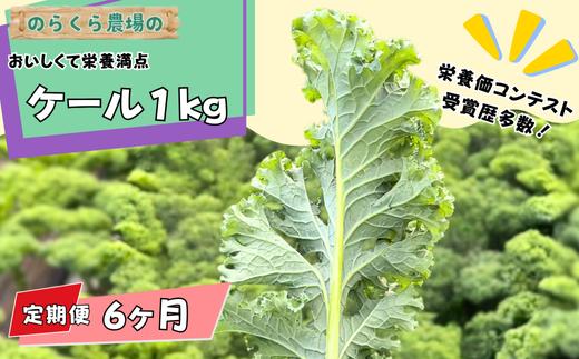 【先行受付】定期便　6カ月　のらくら農場　ケール1kg [NK-T524]