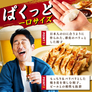 【3回定期便】本店鉄なべ　冷凍ぎょうざ48個入り【040-0006】