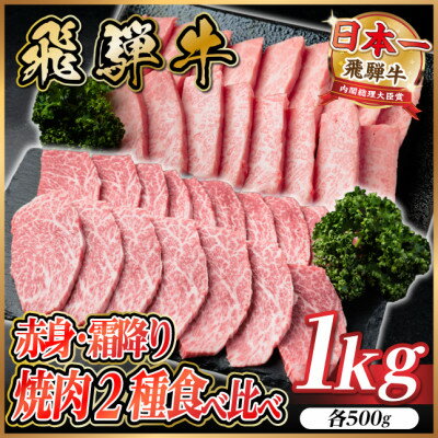 【ふるさと納税】飛騨牛　赤身・霜降り焼肉2種食べ比べセット(ヒレ・三角バラカルビ)　計1kg(各500g)タレ付き【配送不可地域：離島】【1745795】