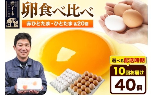 《定期便10ヶ月》赤ひとたま 20個・ひとたま 20個 計40個（業務用）