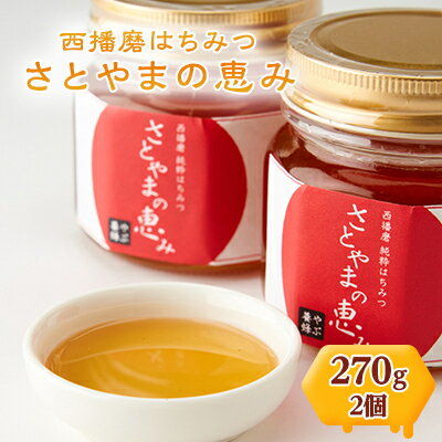 【ふるさと納税】西播磨はちみつ　さとやまの恵み　270g×2本セット【1243929】