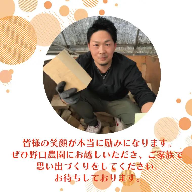 BC002-1　薪　ホワイトアッシュ　BBQ・焚き火用　30kg