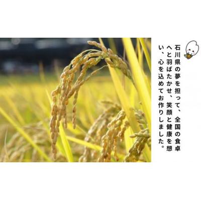 ふるさと納税 小松市 令和7年産 ゆめみづほ 精米 10kg(5kg×2袋)冷めても美味しい小松市産のお米 新米 |  | 02
