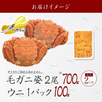ふるさと納税 弟子屈町 毛蟹 2尾 計700g前後 うに 100g前後 専用ハサミ・ガイド付き 北海道 弟子屈町 2460 |  | 03