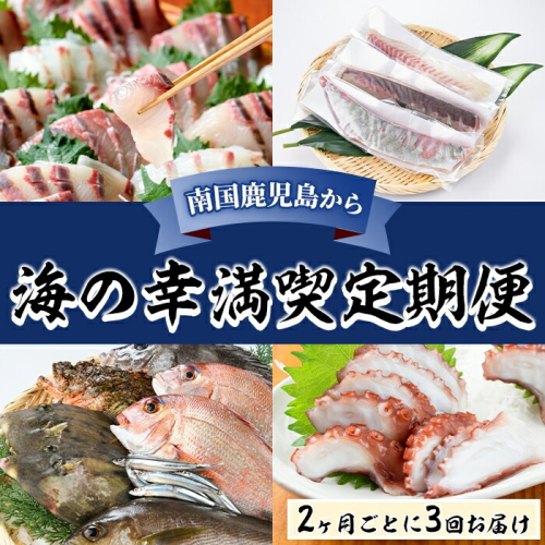 ＜定期便・全3回＞海の幸満喫定期便 魚貝 魚介 海産物 刺身 焼き魚 煮つけ【さるがく水産】a-60-8