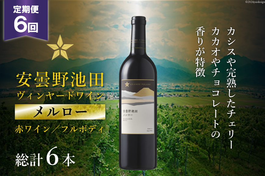 6回 定期便 赤ワイン サッポロ グランポレール 安曇野池田ヴィンヤード「メルロー」750ml 総計6本 [池田町ハーブセンター 長野県 池田町 48110619] 赤 ワイン フルボディ