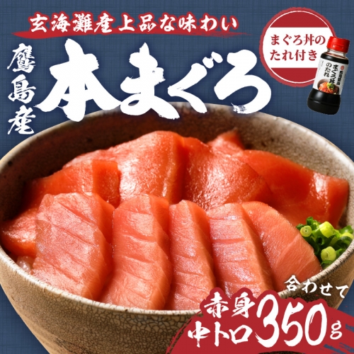 鷹島産本まぐろ 中トロ赤身合わせて350g(まぐろ丼たれ付き)( マグロ 赤身 中トロ マグロ丼 ネギトロ丼 肴 おつまみ 晩酌 柵 流水解凍 本まぐろ 鮪 )【B4-053】