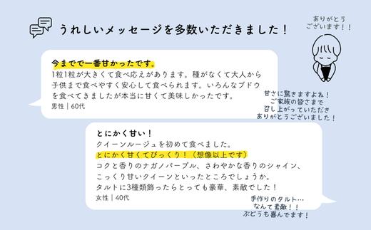 クイーンルージュⓇへ、うれしいご感想をいただきました！