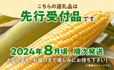 【令和6年産先行受付】生でも美味しい！ とうもろこし 「 サニーショコラ 」 10本（Lサイズ）