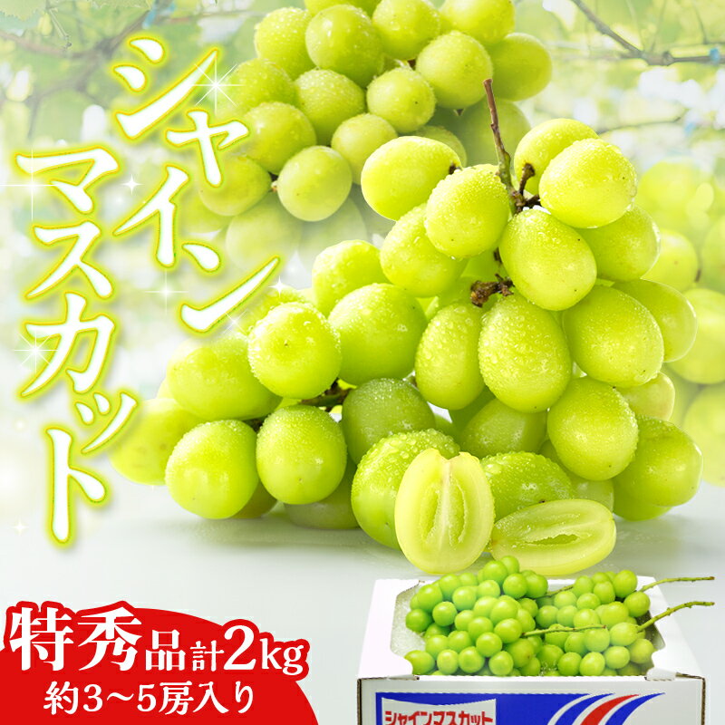 【ふるさと納税】 シャインマスカット 特秀品 ザ・クラス 2kg 詰め合わせ 大粒 3〜5房 新品種 皮ごと フルーツ 旬 香川県 四国 FAH-0195
