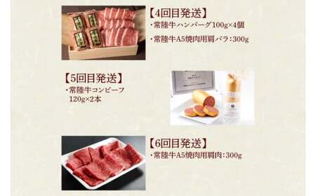DU-107 【定期便 全6回】茨城県産 常陸牛 6ヶ月 定期便 Aコース　　　ハンバーグ 焼肉 すき焼き レトルトカレー コンビーフ【肉のイイジマ】