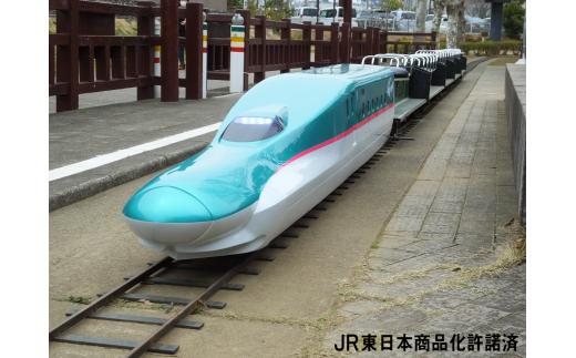 手賀沼公園ミニ鉄道回数券（11回分）《30日以内に出荷予定(土日祝除く)》