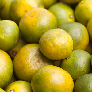 ＜先行予約＞家庭用有田みかんサイズ混合(2S～2L) 2.5kg+250g 10月より発送(極早生) YN26 ゆら早生 訳あり わけあり 【ikd147B】 