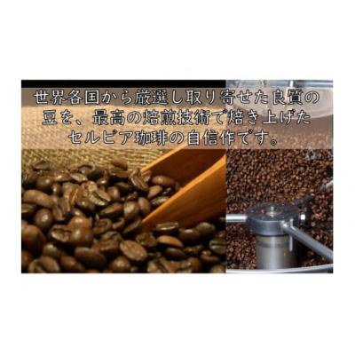 ふるさと納税 春日井市 【レギュラーコーヒー(焙煎豆)】セルビア珈琲の本格的なコーヒー豆の詰め合せ。　200g×3クラフト袋 |  | 02