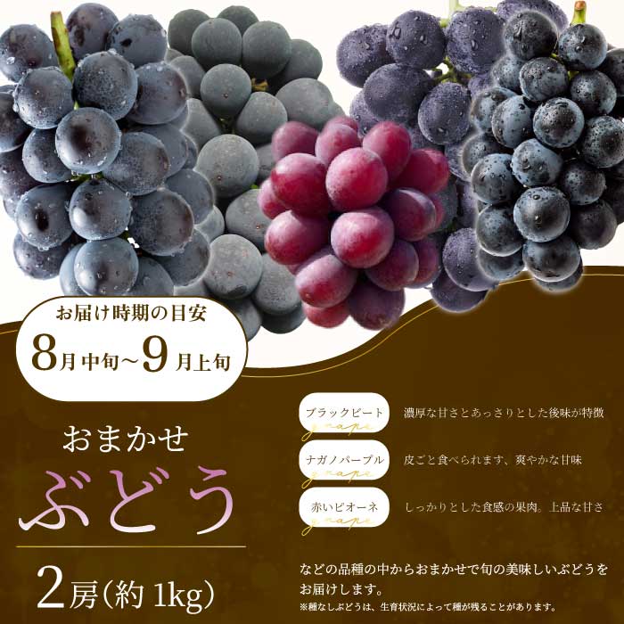 【年4回定期便】瀬戸内の恵みがいっぱい！人気の厳選フルーツ定期便 いちご  桃 ぶどう みかん 広島県三原市 イチゴ もも ブドウ 柑橘 T06
