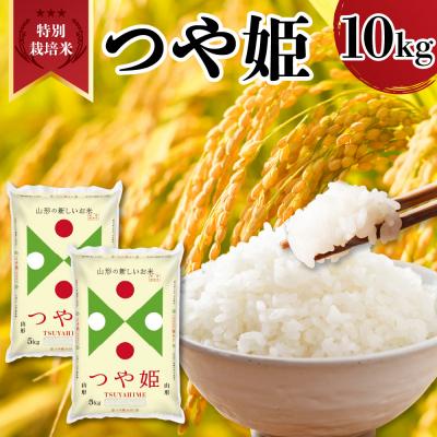 ふるさと納税 米沢市 令和7年産 山形県産 特別栽培米 つや姫 10kg ( 5kg × 2袋 ) 精米