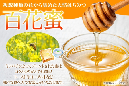 【ふるなびWEEK対象】北海道美深産 天然はちみつ百花蜜 600g 瓶 はちみつ 蜂蜜 百花蜜 ブレンド蜂蜜 みつばち ミツバチ 蜜蜂 純粋国産 国産 日本産 瓶タイプ アレンジ クローバー アザミ 