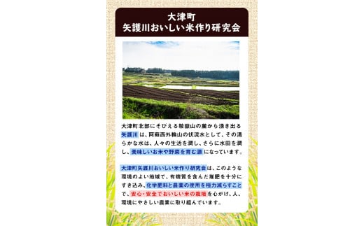 令和5年産 矢護川清流そだち(くまさんの輝き) 2kg 大津町矢護川おいしい米作り研究会   大津町《60日以内に出荷予定(土日祝除く)》---so_ygsdc3_60d_21_7500_2kg---