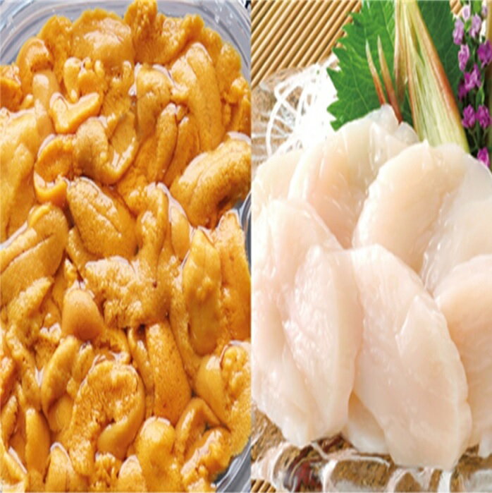 【ふるさと納税】 エゾバフンウニ塩水パック150g×1P、お刺身ホタテ貝柱500g×1P[11月下旬以降順次発送] D-53028