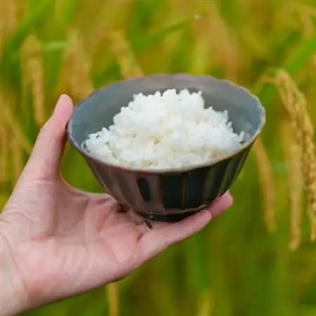 【令和7年産】奈良県産 ヒノヒカリ 精米 5kg_ 精米 米     米 こめ コメ_【1454613】