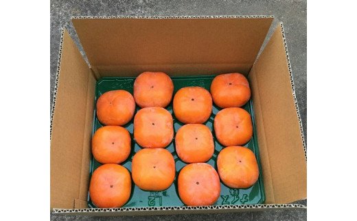 【先行予約・2025年 秋 発送】西本農園の次郎柿　NS-01